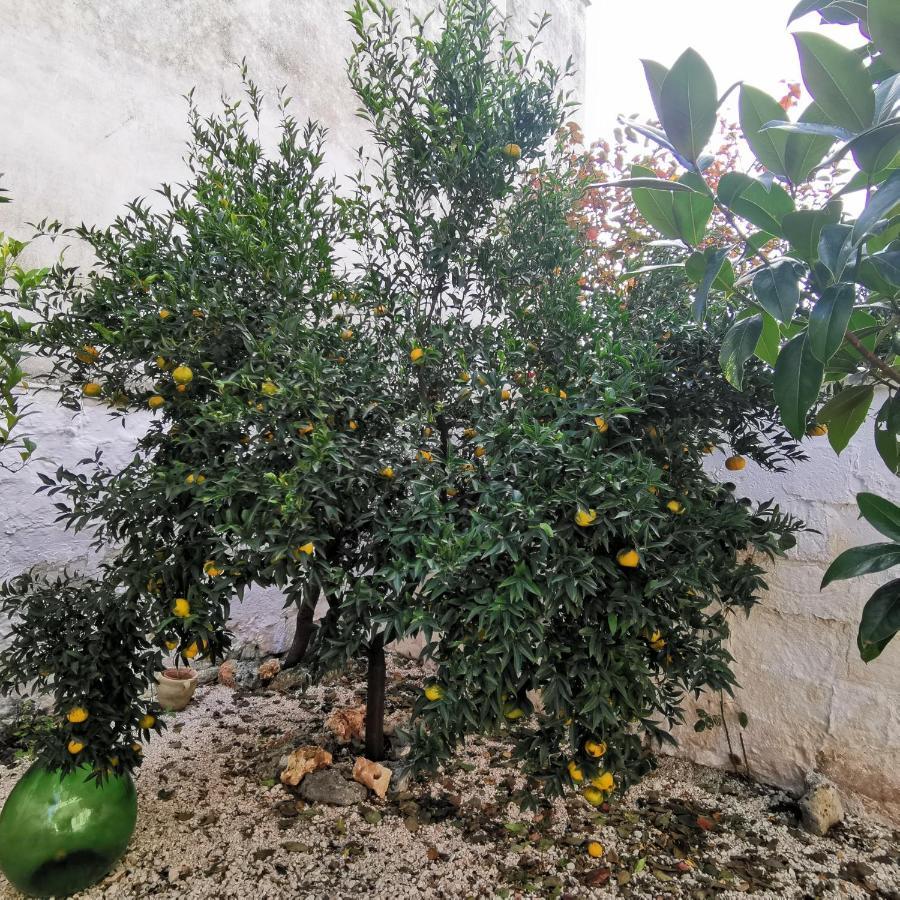Casa Magnolia Villa Montalbano  Kültér fotó