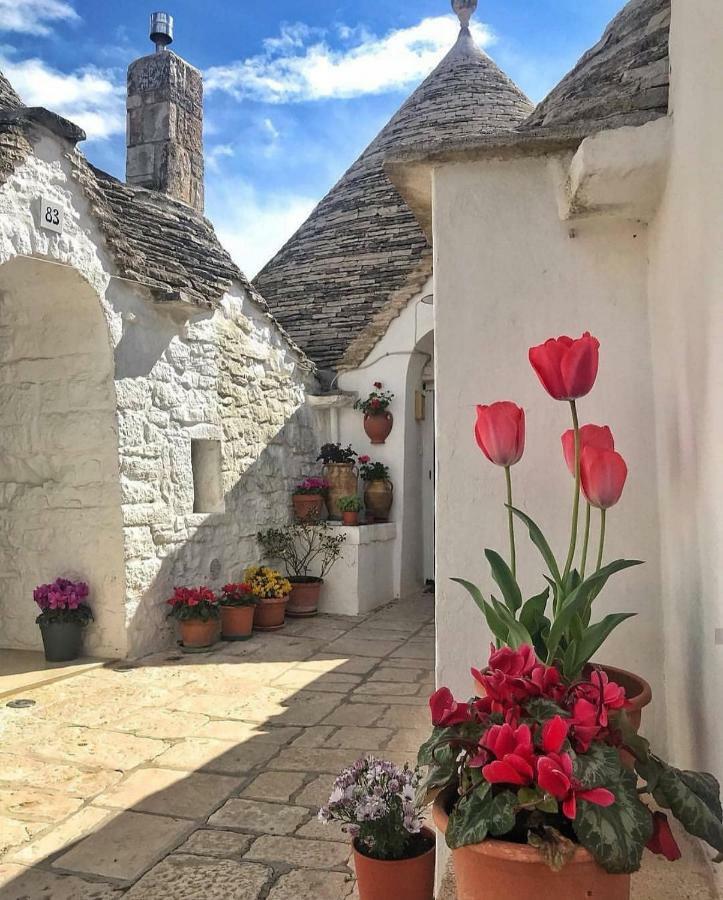 Casa Magnolia Villa Montalbano  Kültér fotó